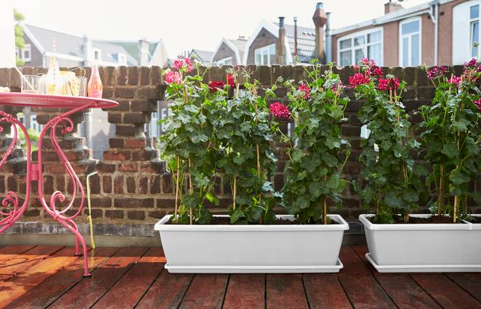 barcelona xl schotel 80cm wit